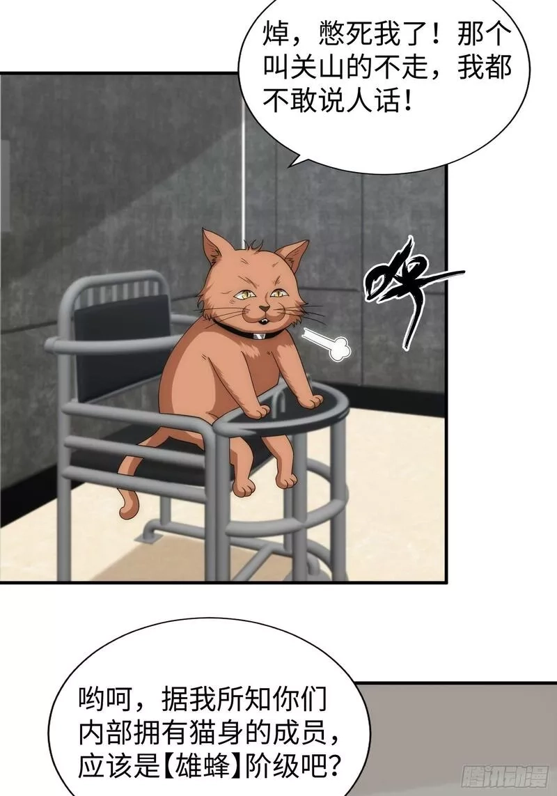 我真的好怕啊！,042 审判猫咪,第36张